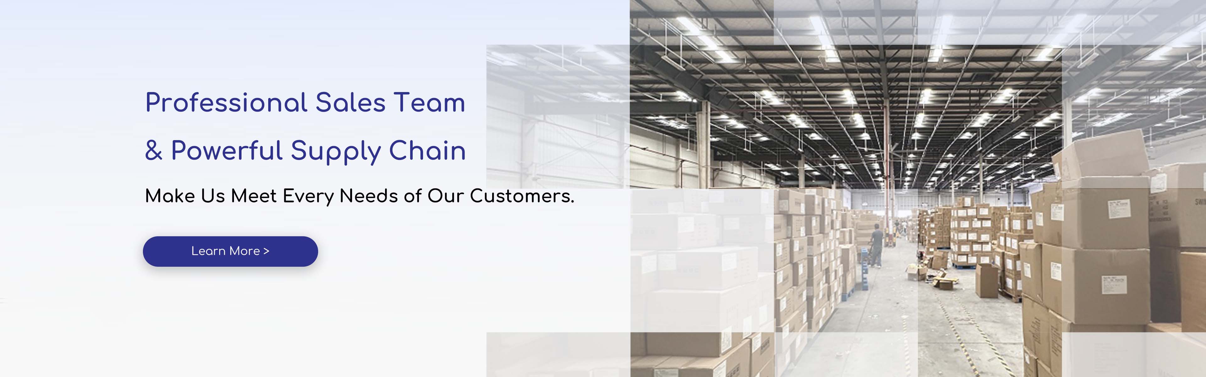 Professional Sales Team & Powerful Supply Chain