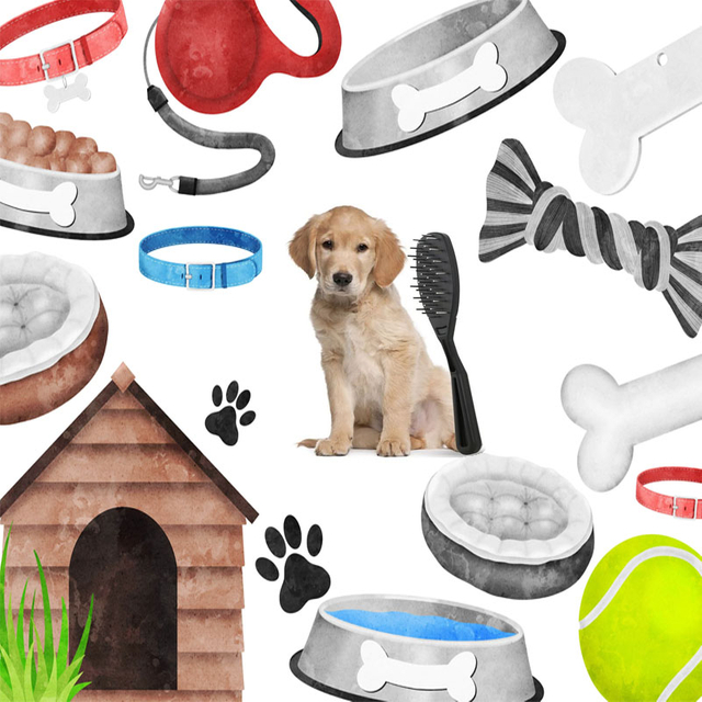 Pet Supplies agent in YIWU