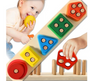 Montessori Classification Jigsaw Puzzle Wooden Educational Sensory Toy Building Blocks