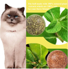 Multi-functional Teeth Cleaning Cat Mint Catnip Ball Avocado Shape Wall Catnip Ball Pet Toy