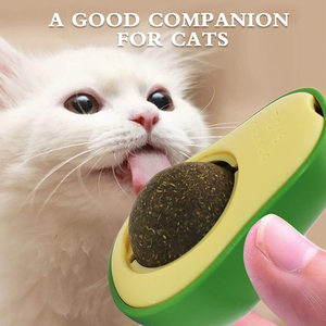 Multi-functional Teeth Cleaning Cat Mint Catnip Ball Avocado Shape Wall Catnip Ball Pet Toy